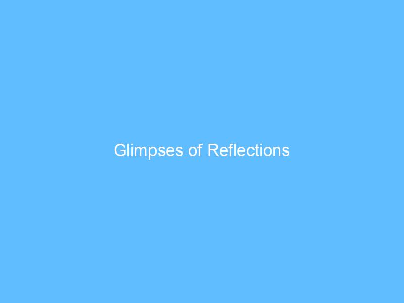 Glimpses of Reflections