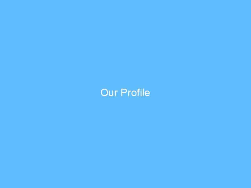 Our Profile